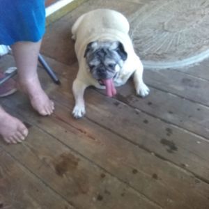 Meet your Posher, Cindy